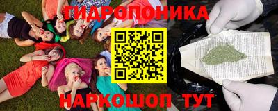 мяу мяу мука Пушкино